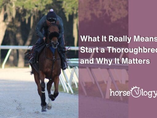 What It Really Means to Start a Thoroughbred — and Why It Matters What It Really Means to Start a Thoroughbred — and Why It Matters