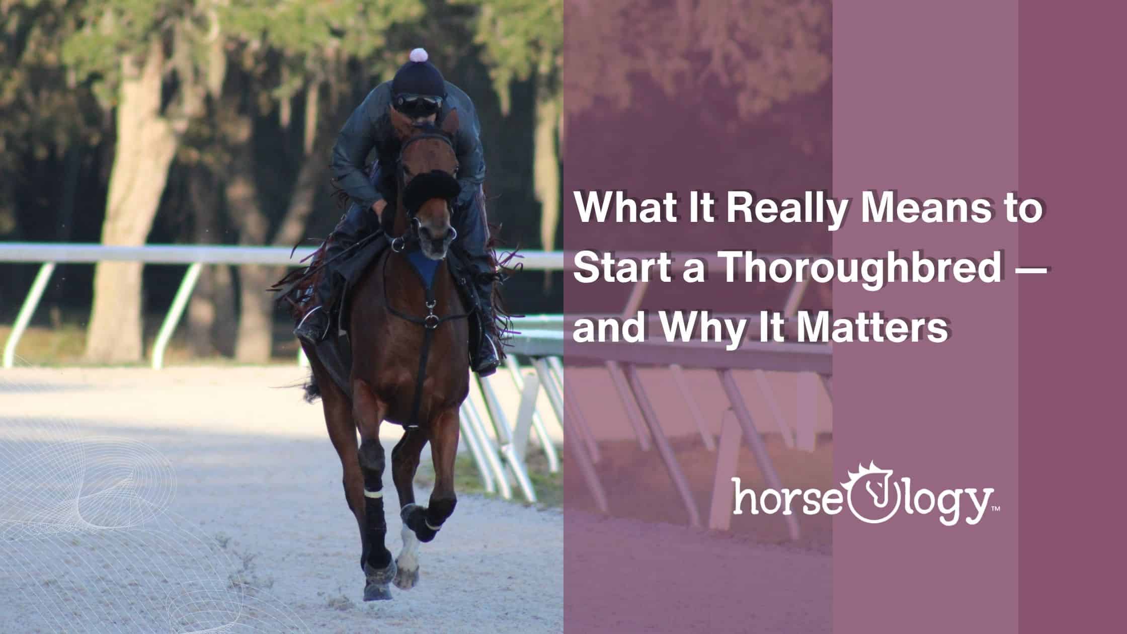 Starting a Thoroughbred with horseOlogy. A Thoroughbred horse under saddle on the training track at horseOlogy in Ocala, Florida