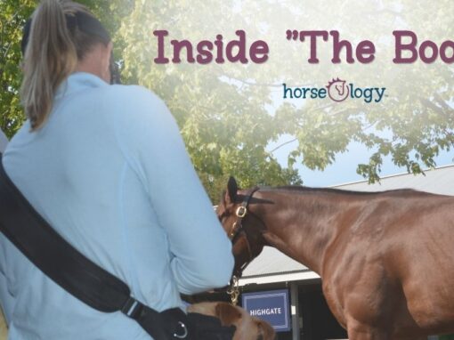 Inside “The Books”: How Keeneland September Actually Works