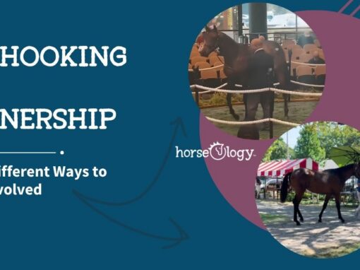 Pinhooking vs. Ownership: Two Different Ways to Get Involved